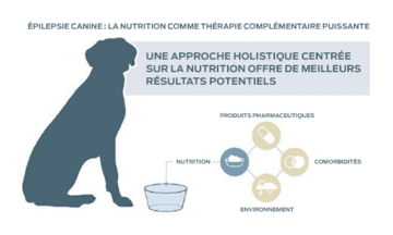 Épilepsie canine : La nutrition comme thérapie complémentaire puissante