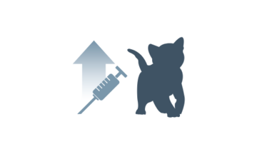 injection kitten icon