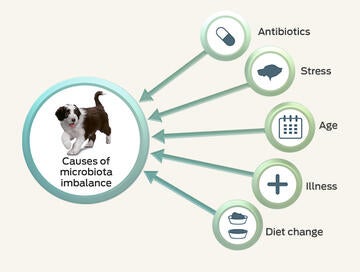 microbiome-and-health