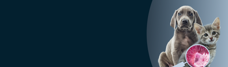 Purina Institute Microbiome Forum Round Table 2026