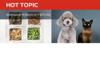 Alternative Proteine im Tierfutter hot topic