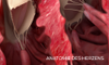 Anatomie des Herzens