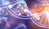 DNA