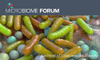 ENTDECKEN SIE DAS MIKROBIOM-FORUM