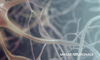 Masse Neuronale