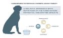 purina-institute-canine-epilepsy.jpg