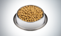 How do I choose a healthy dog food