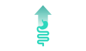 肠道健康