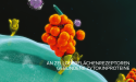 purina-institute-proteomik-zytokin-proteine