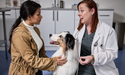 Dog owner consulting veterinarian in clinic with pet.