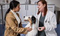 Proprietaria di un cane che consulta una veterinaria in clinica con animale domestico.
