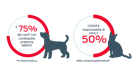 Il 75% dei cani con cardiopatie presenta MMVD e l'HCM è responsabile di oltre il 50%