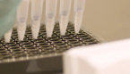 purina-istituto-sezione-DNA