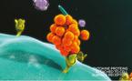 purina-institute-proteomics-cytokine-proteins