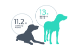 与对照组的拉布拉多寻回犬相比,保持精瘦体态喂养的犬只中位寿命延长了15%。
