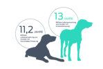 Schlank gefütterte Hunde hatten im Vergleich zu Labrador Retrievern der Kontrollgruppe eine um 15 % längere mediane Lebensspanne.