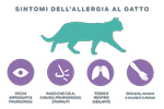 sintomi di allergie ai gatti