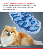 novel dietary interention for dogs early stage mmvd