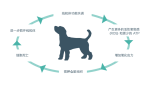 犬线粒体图