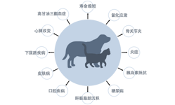 寿命缩短、氧化应激、骨关节炎、炎症、胰岛素抵抗、糖尿病、脂肪肝、口腔疾病、皮肤病、下尿路疾病、心肺功能改变、高甘油三酯血症。