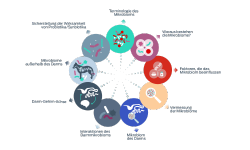 Symbol „Grundlagen des Mikrobioms