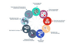 Fundamentos de los microbiomas: Terminologia del microbioma. ¿Qué comprenden los microbiomas? Factores que influyen en los microbiomas. Medición de los microbiomas. Microbioma intestinal. Interacciones del microbioma intestinal. Eje intestino-cerebro. Microbiomas más allá del intestino. Garantía de la eficacia de los probióticos o sinbióticos.