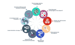 icone nozioni di base microbioma