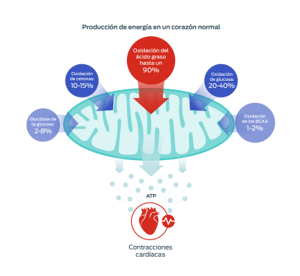 imagen de ácidos grasos