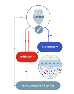心力衰竭图