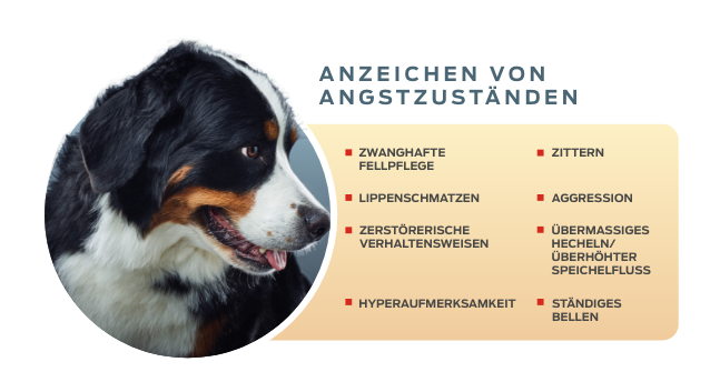 anzeichen-von-angstzuständen