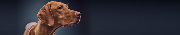 Verhaltensweisen, die mit dem Alter einhergehen