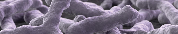 purina-institute-nrm-bifidobacterium