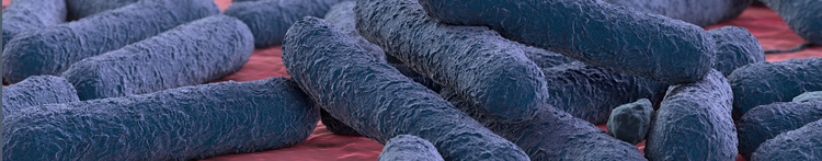 Probiotici Clostridium