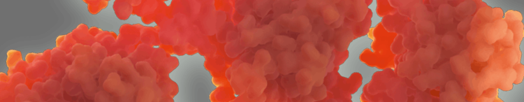 immunity-colostrum