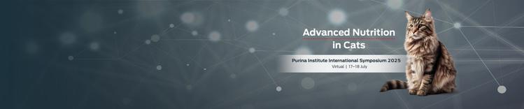 PI International Symposium