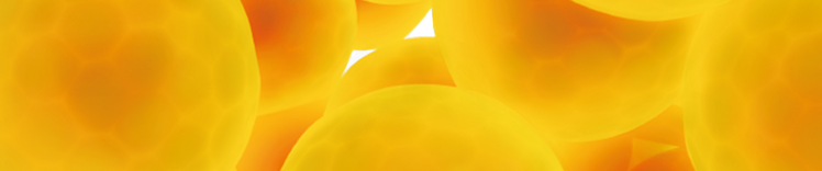 体重相关状况 - 横幅