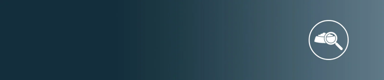 ícono de alimento para perro con una lupa