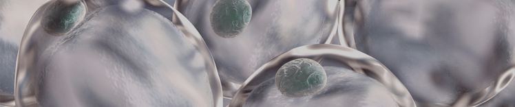 管理健康体重横幅