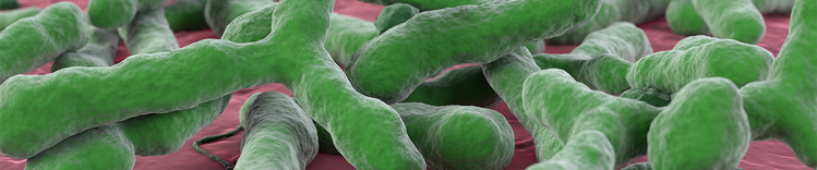 eixo intestino-cérebro do instituto de purina