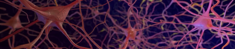 far avanzare il cervello