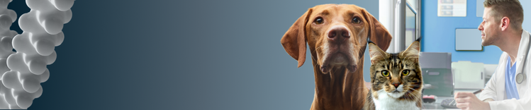 dog and cat over blue gradient background