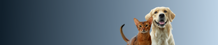 Press Release Webpage Banner