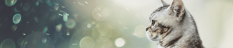 purina-institute-science-behind-the-discovery