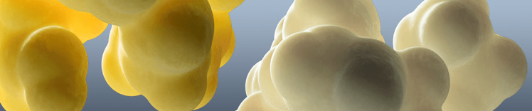 dha banner