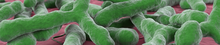 purina-institute-gut-brain-axis