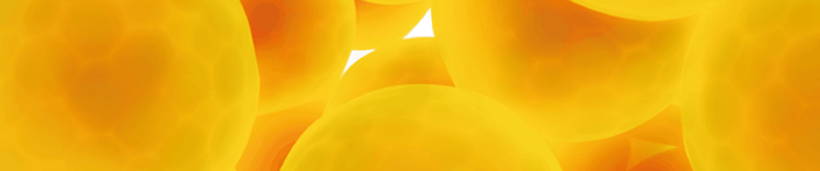 Gewichtsbedingte Erkrankungen – Banner