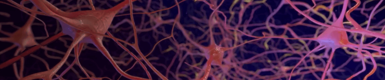 advancing-the-brain