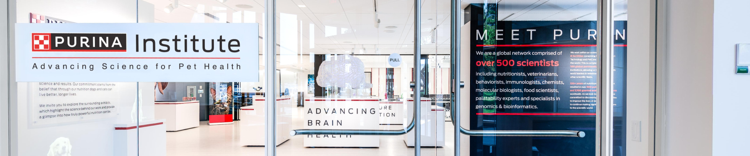 Héroe de exhibición virtual