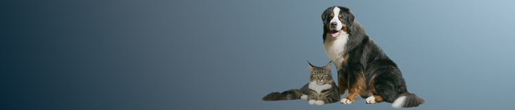 ciência da nutrição