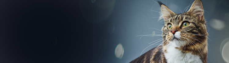 purina-institute-purina- recherche